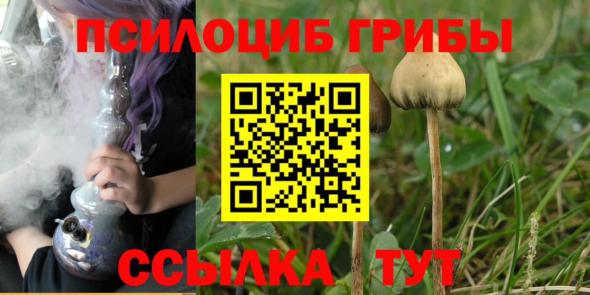 Псилоцибиновые грибы Psilocybine cubensis Белогорск